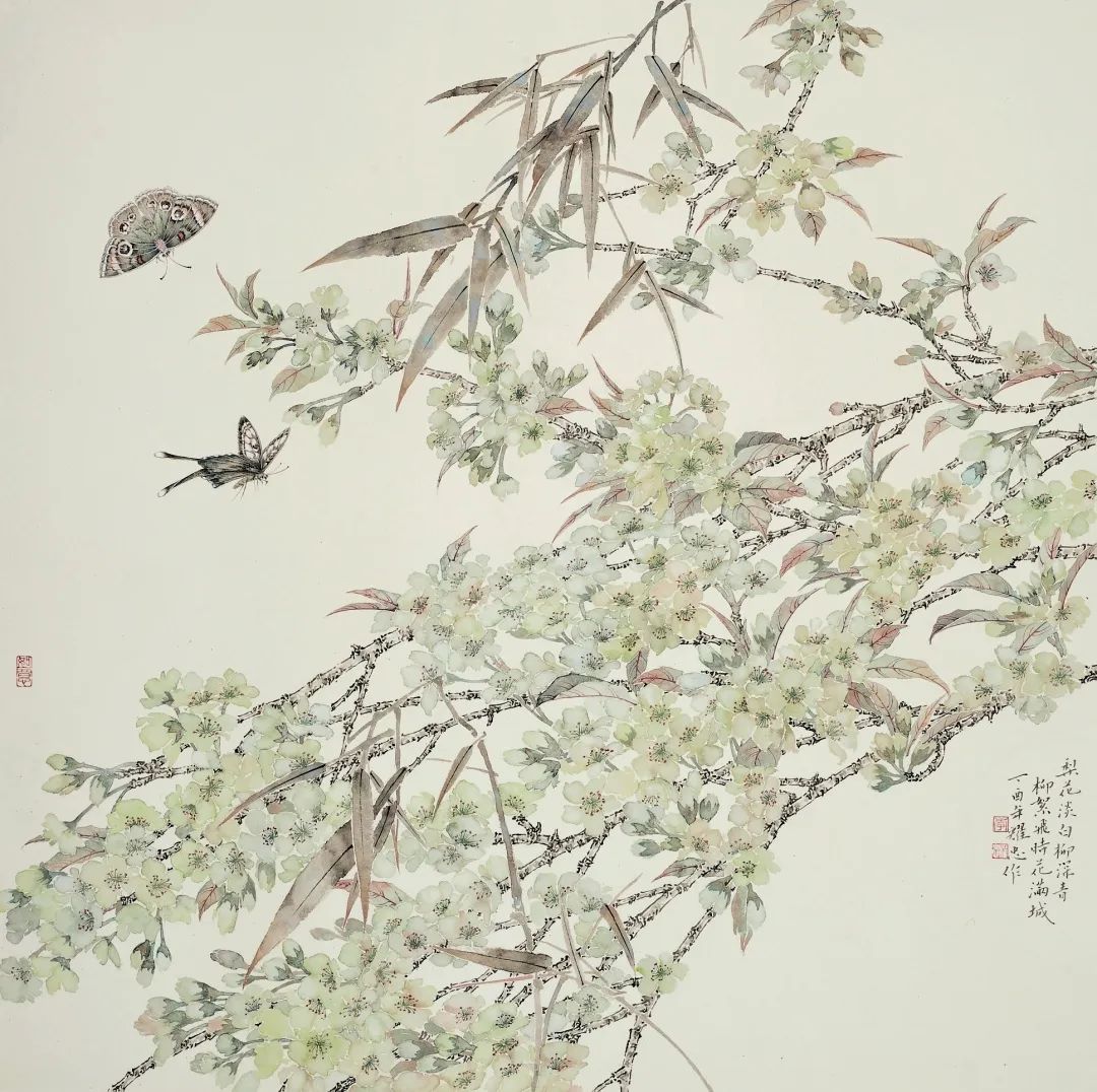 圖片