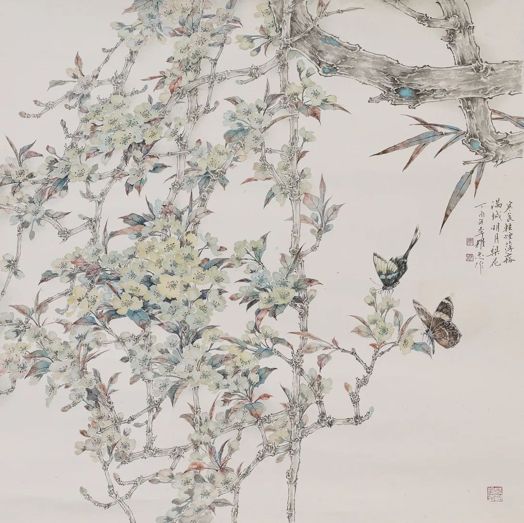 圖片