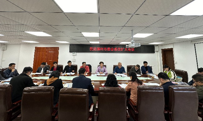 市委會委員會擴大會議 (2).jpg