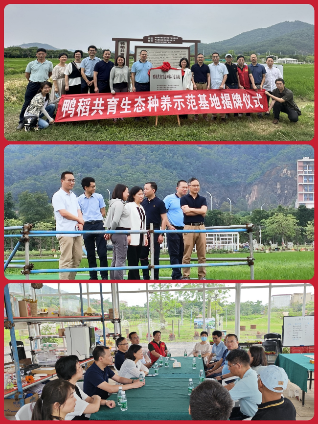 揭牌儀式及調研交流剪影.jpg